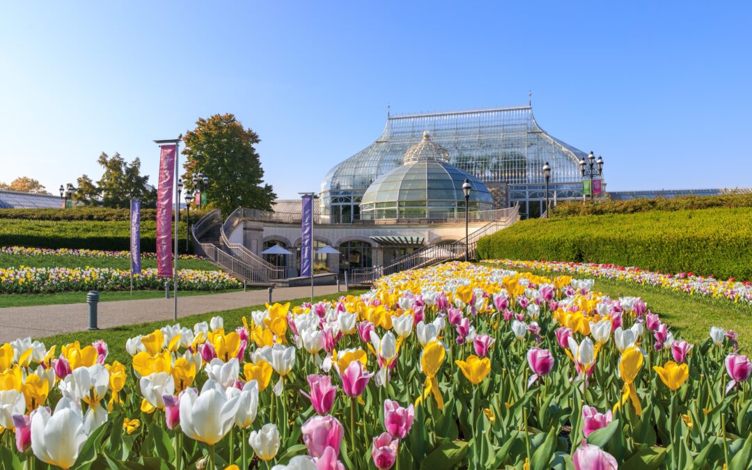 Mother’s Day is the perfect time to announce our new event at Phipps Conservatory & Botanical Gardens